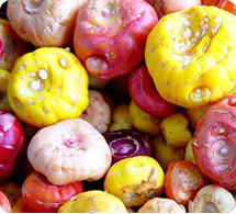 bulbs wholesale